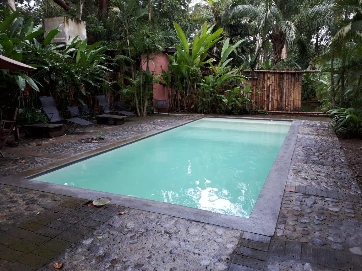 Piscina con camastros rodeada de palmas y cerca de bambú.