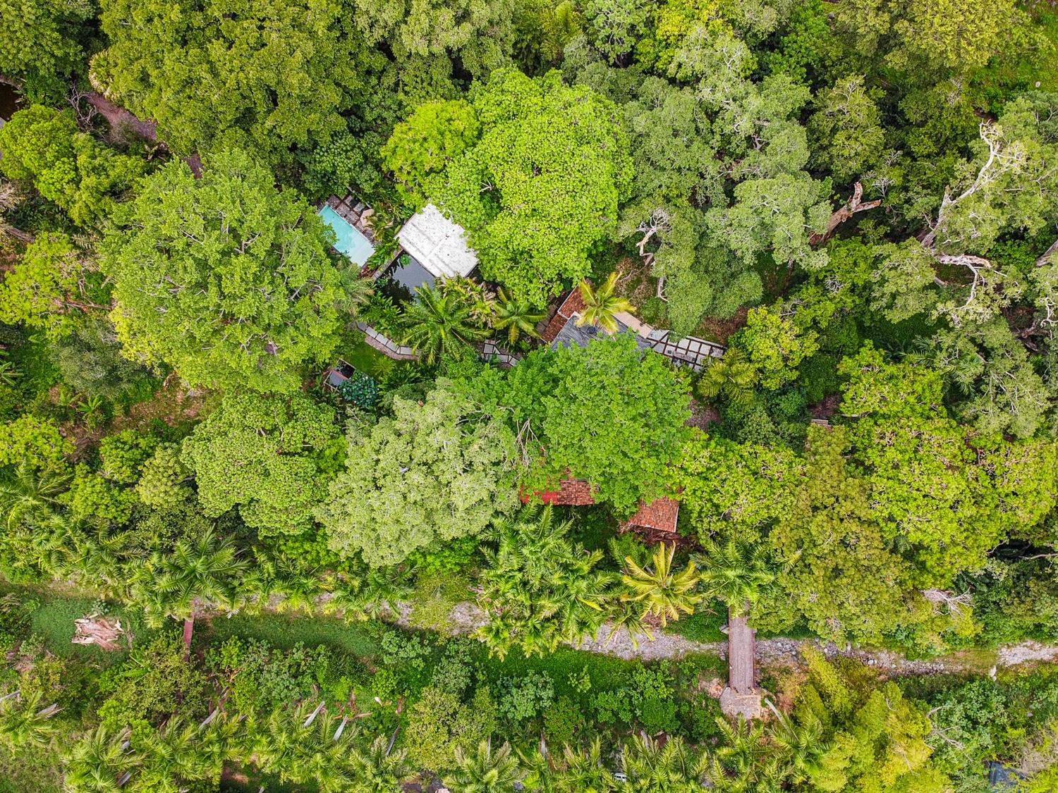 Vista aérea de Amagua Natura inmersa en la selva de Comala.